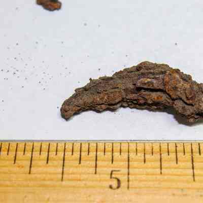 Rusty nail