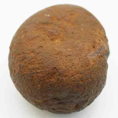 Closeup of basalt hammerstone: The image shows a brown, rounded hammerstone with a rough surface, typically used in pre Western contact times for crafting tools and constructing artifacts.