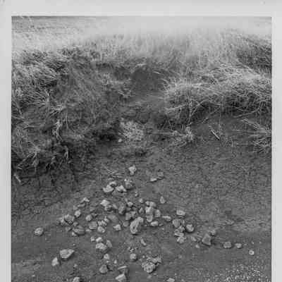 Site 104B #08