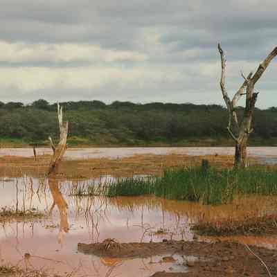 Kealialalo Pond