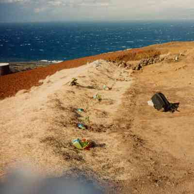 Row of seedlings with DriWater on fiber matting set on hardpan terrain