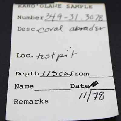 Artifact slip for a coral abrader: The image shows a sample label with details for Kaho'olawe sample number 349-31.3078, a description as coral abrader.