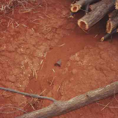 Ammo casing-37 mm