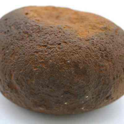 Profile of a basalt hammerstone: The image depicts a hammerstone, characterized by its rounded, rough surface and brown coloration, possibly used prior to Western contact for tool making.