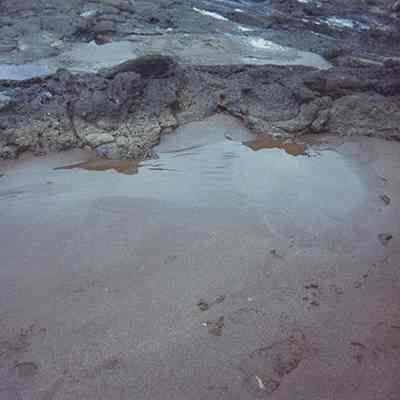 Footprints in wet sand