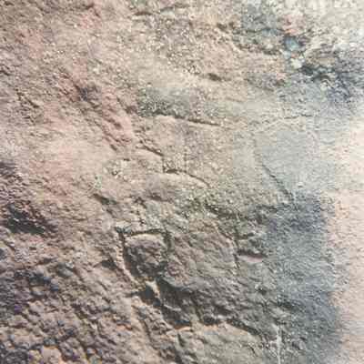 Faint petrogylphs