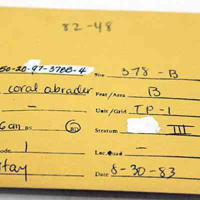 Artifact envelope for coral abrader: The image shows a yellow envelope with handwritten archaeological details, including site number, specimen "coral abraders," depth 46 cm, and date collected.