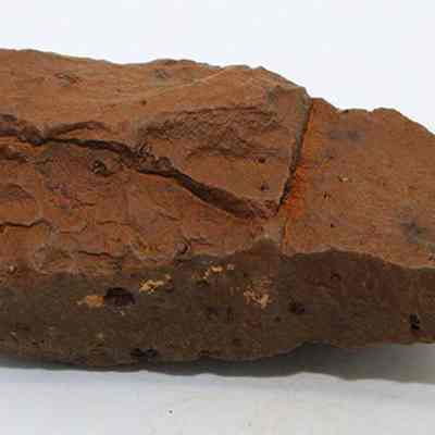 Closeup profile of sinker preform: Original size: 3 in; Original format: Artifact; Resolution: 150 dpi