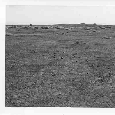 Site 110BI #36A