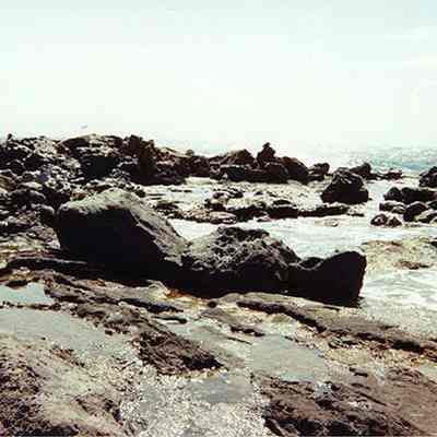 Rocky coastline