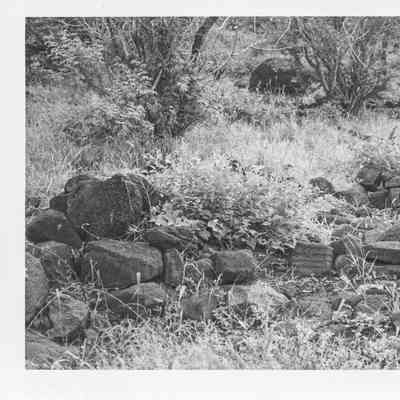 Site 106H #30