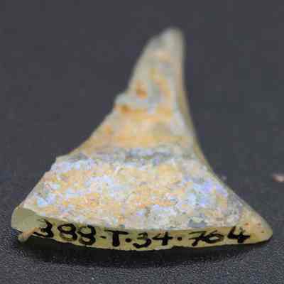 Triangular fragment of glass bottle with alternate id  number visible: The image shows a triangular, weathered glass fragment with inscriptions "389.T.34.764" on its edge, resting against a dark background.
