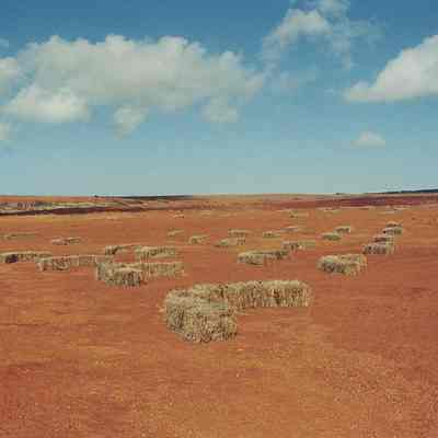 Pili bales on hard pan