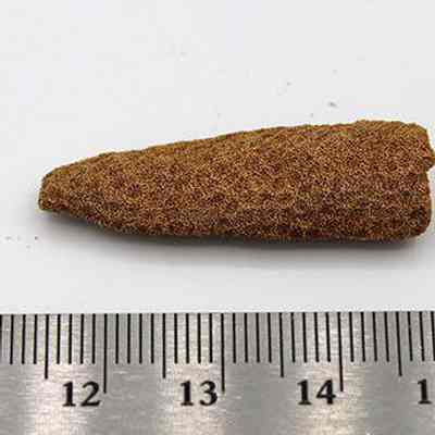 Profile of coral abrader: Original size: 3.5 cm (L); Original format: Artifact; Resolution: 200 dpi