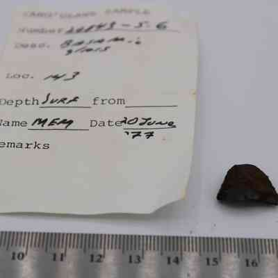 Tiny basaltic glass flake