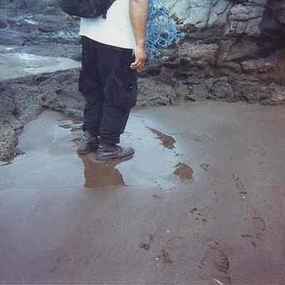 Unidentified person standing in wet sand along rocky coastline
