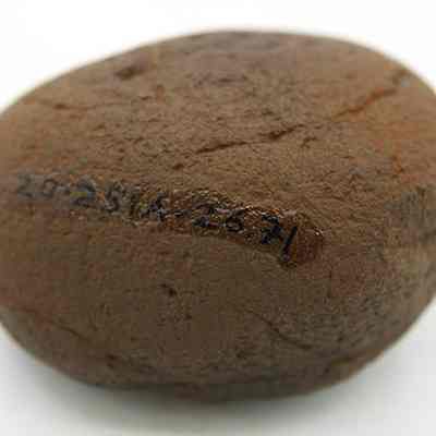 Closeup profile of hammerstone with visible alternate id number: Origsize: 6.62 cm (l); Origformat: Artifact; Resolution: 200 dpi