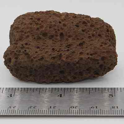 Closeup of breadloaf sinker: The image shows a brown, porous rock resembling bread, labeled a "breadloaf sinker," next to a ruler for scale.
