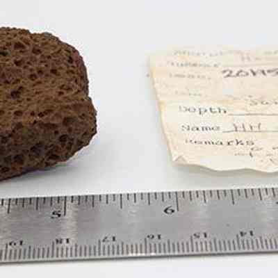 Breadloaf sinker and artifact slip: The image shows a porous stone, possibly a breadloaf sinker, next to a ruler for scale, and a handwritten note with details.