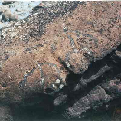 Petroglyphs-closeup