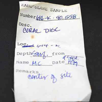Artifact slip for a coral disc: The image shows a labeled artifact slip from Kaho'olawe sample 604-K-40.558, describing a coral disc collected on September 9, 1979.