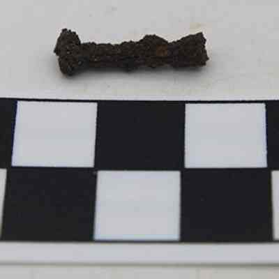 Closeup of rusty nail and scale: The image shows a small, rusted metal object lying above a black and white scale marker labeled "CM" for centimeters on a light surface.