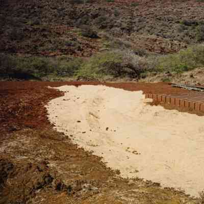 Platform with matting