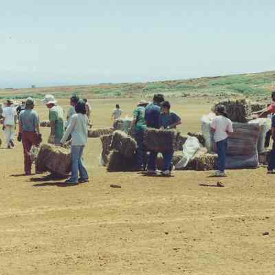 Volunteers hauling pili bales