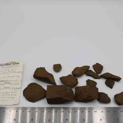 Adze pieces and fragments