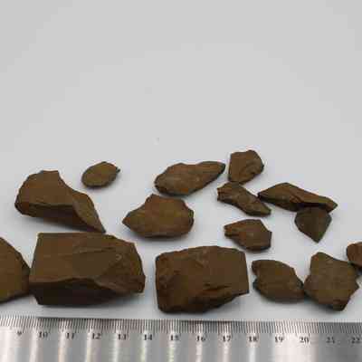 Adze fragments and ruler: Adze fragments, varying in size and shape, are spread out on a white surface with a ruler placed at the bottom for scale reference.