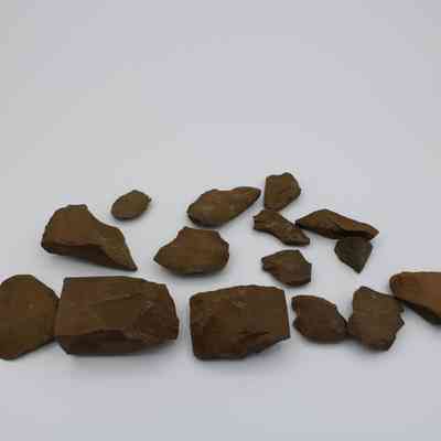 Adze pieces: The image shows several brown adze pieces of varying shapes and sizes arranged on a plain white background.