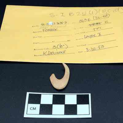 Fishhook