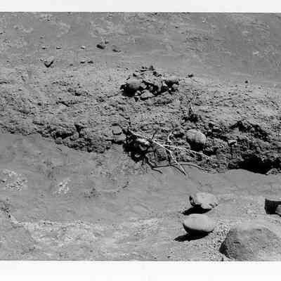 Site 110AN #26