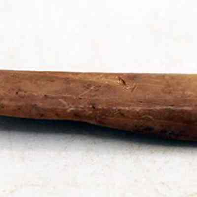 Closeup profile of worked bird bone: The image shows a small, elongated, brown bone fragment, placed on a smooth, light-colored surface with some visible texture.