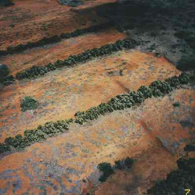 Aerial of Tamarisk Site 3