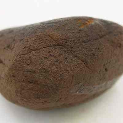 Basalt hammerstone: Origsize: 6.62 cm (l); Origformat: Artifact; Resolution: 200 dpi