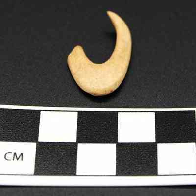 Close up of fishhook with scale: Origsize: 2.1 cm x 1.7 cm; Origformat: Artifact; Resolution: 150 dpic