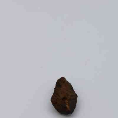Closeup of triangular basaltic glass core: A small, rough, dark brown rock rests on a plain white background, emphasizing its earthy texture and irregular shape.