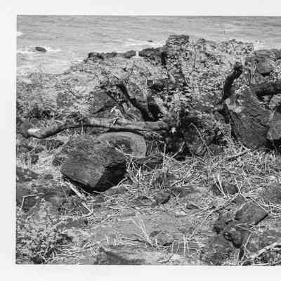 Site 638C #15