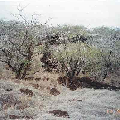 Corral in river bed