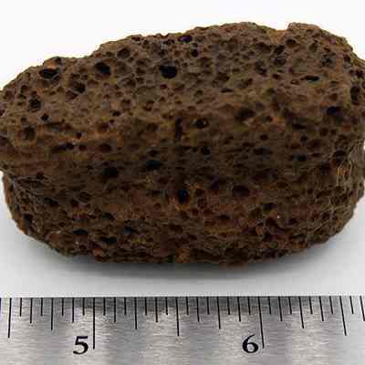 Bread loaf sinker with base up: The image shows a porous, dark brown breadloaf sinker next to a ruler, indicating its size and unique texture.