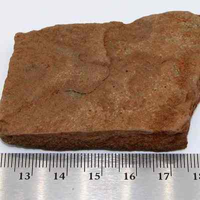 Abrader