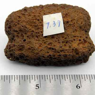 Profile of bread loaf sinker with alternate id # attached: The image shows a textured, brown breadloaf sinker labeled "7.37," placed next to a ruler for scale reference, highlighting its porous surface.