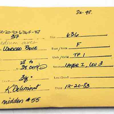 Artifact envelope for worked bird bone: The image shows a handwritten archaeological envelope with details like site number, specimen description, depth, unit/grid, and recording date.
