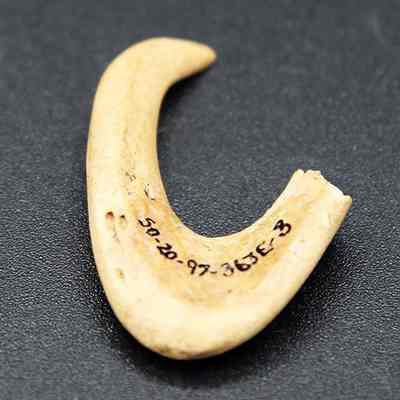 Backside of fishhook: Origsize: 2.1 cm x 1.7 cm; Origformat: Artifact; Resolution: 150 dpi