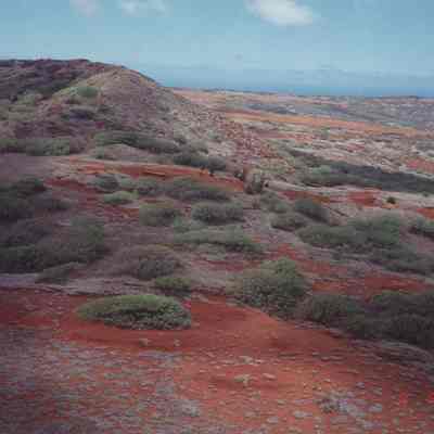 Aerial of Pu'u 'O Moa'ula Iki area