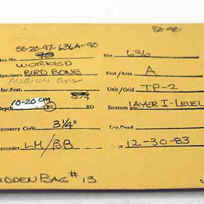 Artifact envelope for worked bird bone: The image shows a yellow archaeological artifact envelope detailing a worked bird bone, recorded on 12-30-83, with specific site,  and depth.