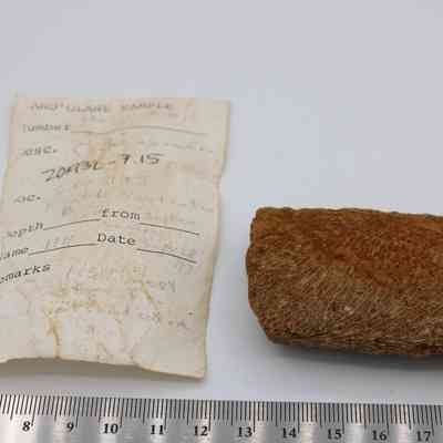 Coral abrader