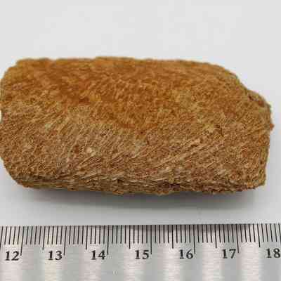 Closeup of coral abrader with ruler: The image shows a textured, rectangular coral abrader placed beside a ruler for scale reference, exhibiting reddish soil in surface grooves.