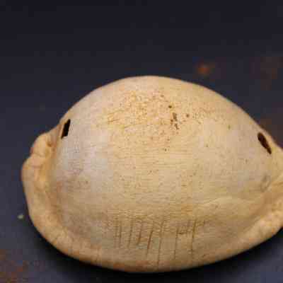 Top view of cowrie shell lure (lu he'e): A smooth, light-brown cowrie shell lure is displayed on a dark surface with subtle texture details.